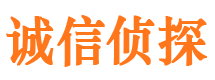 峰峰市私家侦探